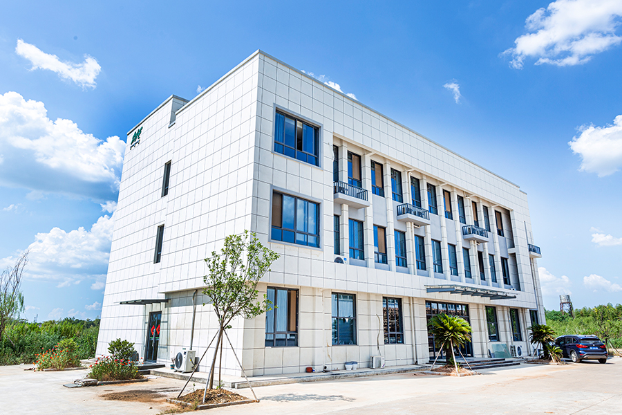 บริษัทรูปภาพจริง