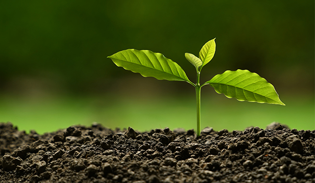 บริษัท รอนซัน อิมพอร์ต แอนด์ เอ็กซ์ปอร์ต บจก.